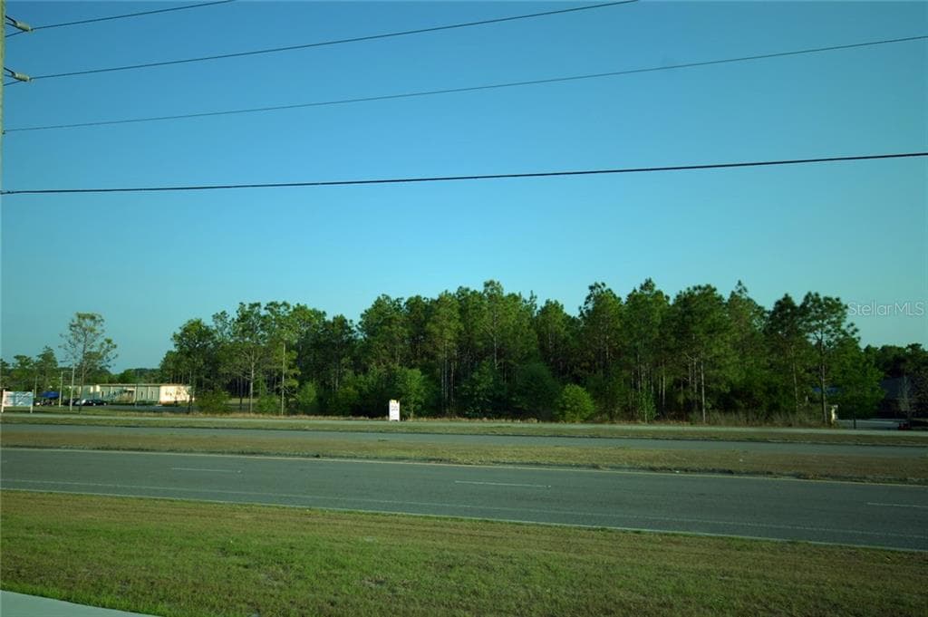 30150 OVERPASS, WESLEY CHAPEL, FL, 33545 photo 2