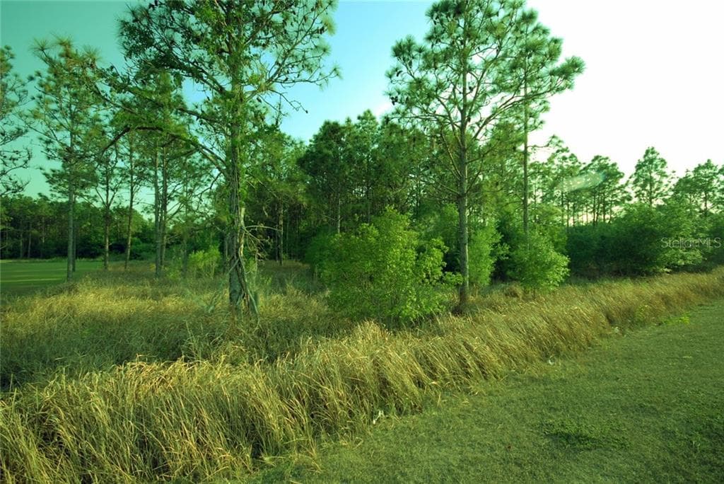 30150 OVERPASS, WESLEY CHAPEL, FL, 33545 photo 5