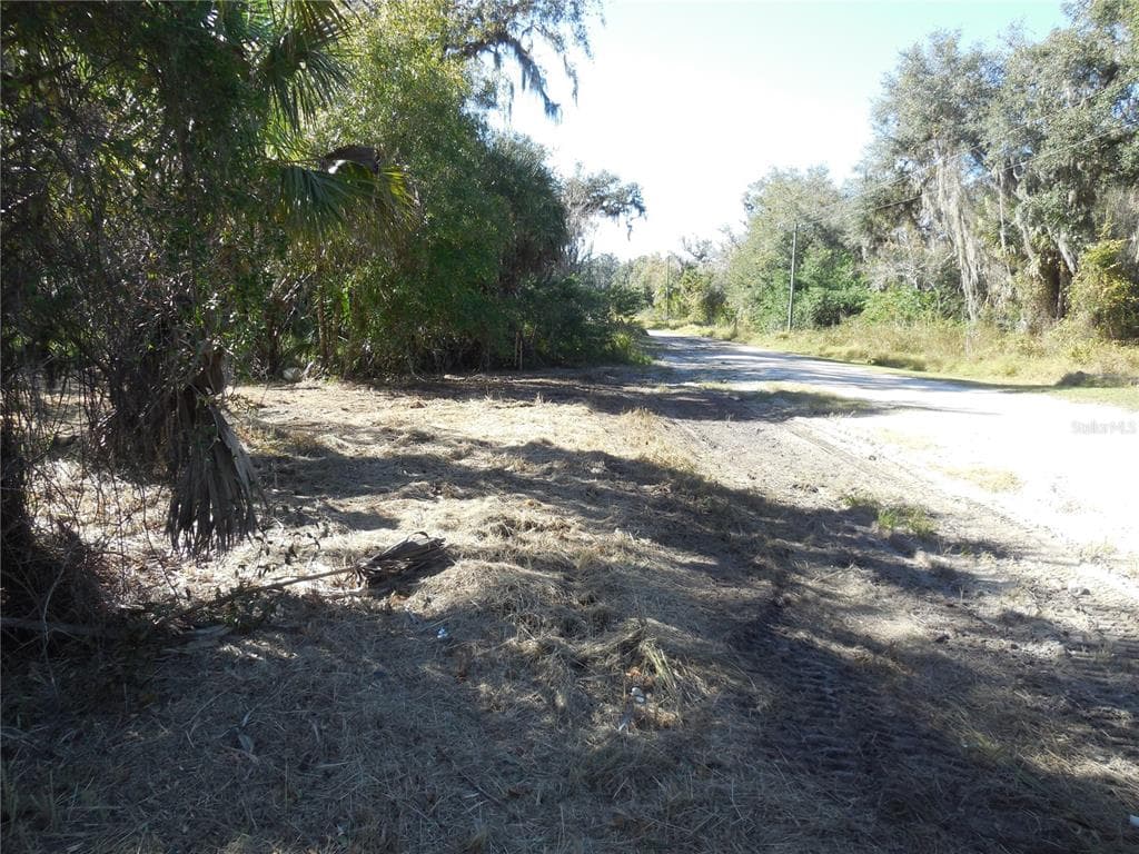 152 TALL OAK, ZOLFO SPRINGS, FL, 33890 photo 2