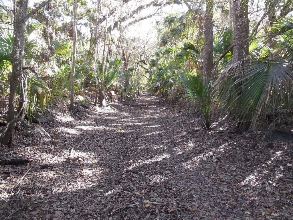 152 TALL OAK, ZOLFO SPRINGS, FL, 33890 photo 5