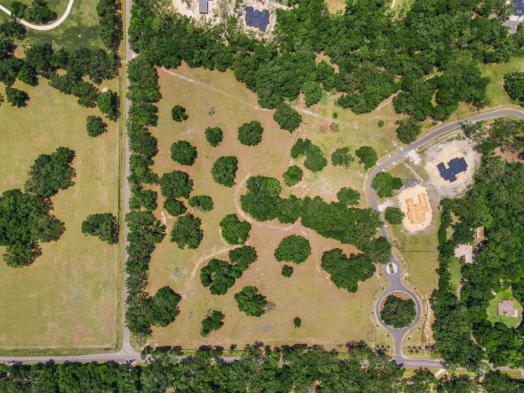 241, NEWBERRY, FL, 32669 photo 4