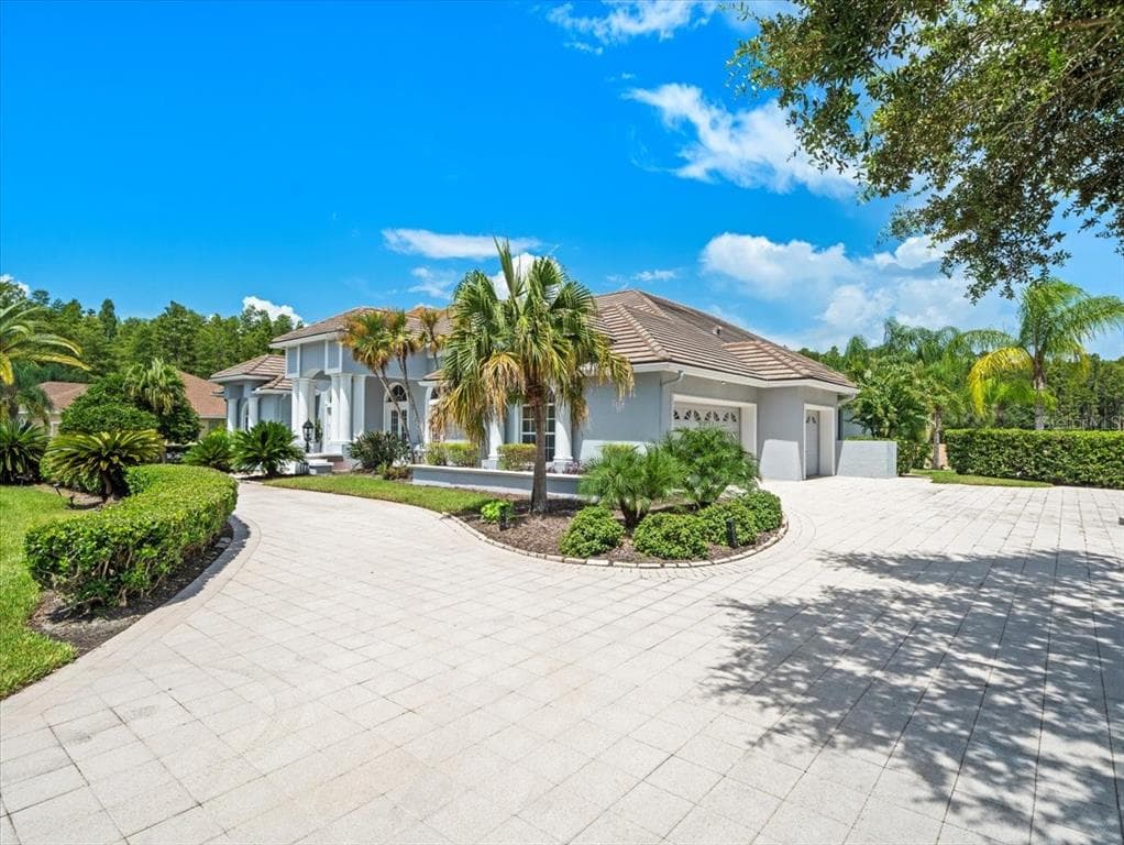 4529 CHEVAL, LUTZ, FL, 33558 photo 5