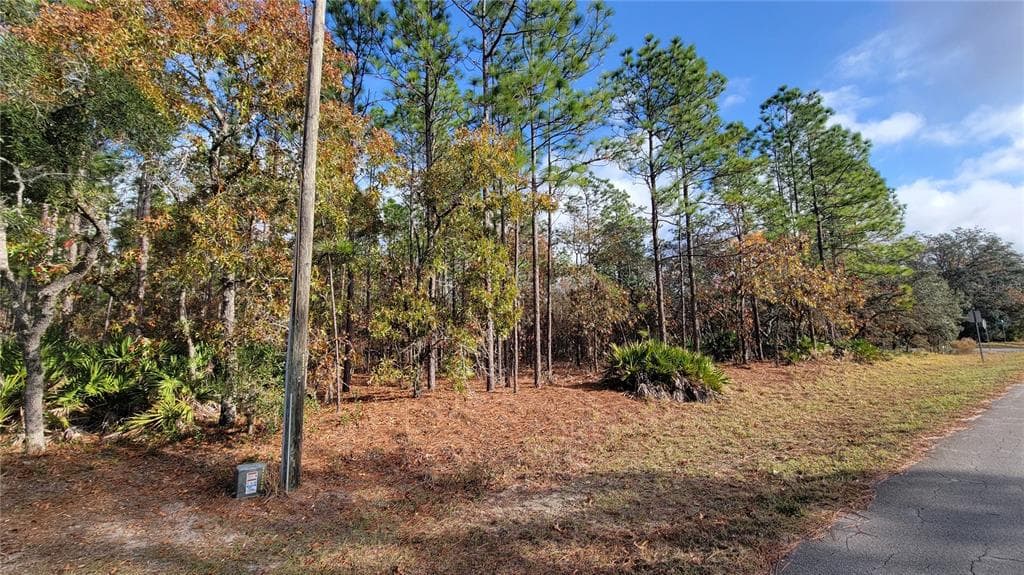 4312 DECKWOOD, BEVERLY HILLS, FL, 34465 photo 4