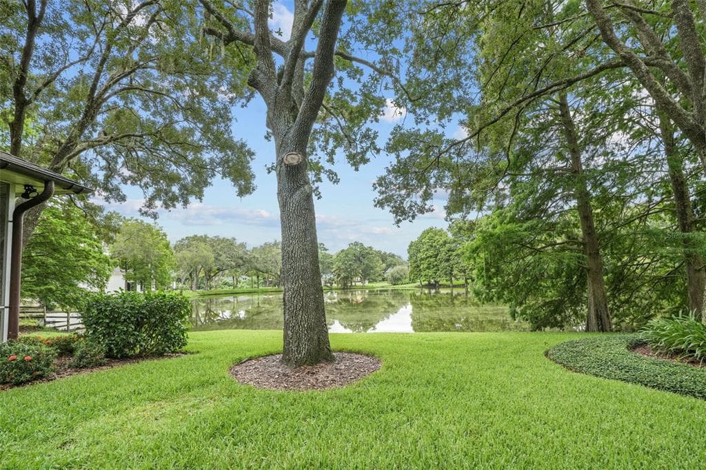 16203 VILLARREAL DE AVILA, TAMPA, FL, 33613 photo 3