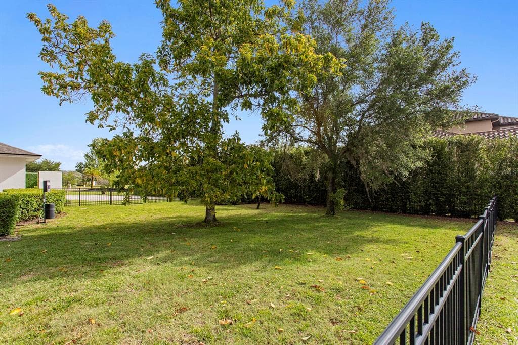 17253 BREEDERS CUP, ODESSA, FL, 33556 photo 5