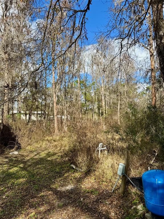 26931 DEACON, ZEPHYRHILLS, FL, 33544 photo 5