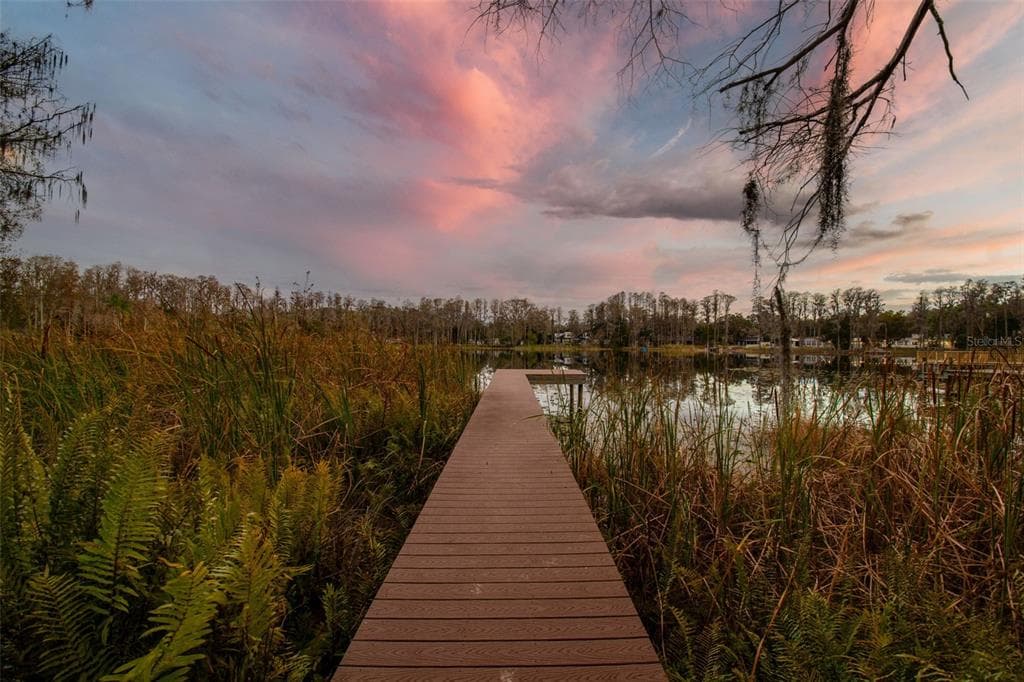 3812 LITTLE, LUTZ, FL, 33548 photo 2