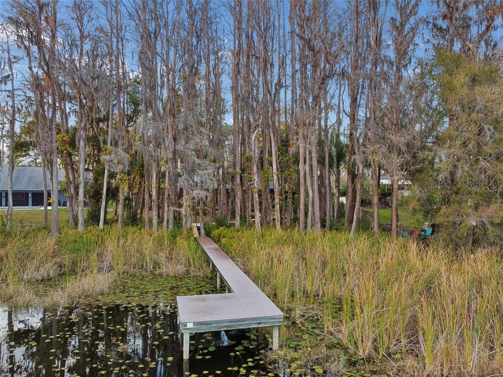 3812 LITTLE, LUTZ, FL, 33548 photo 5