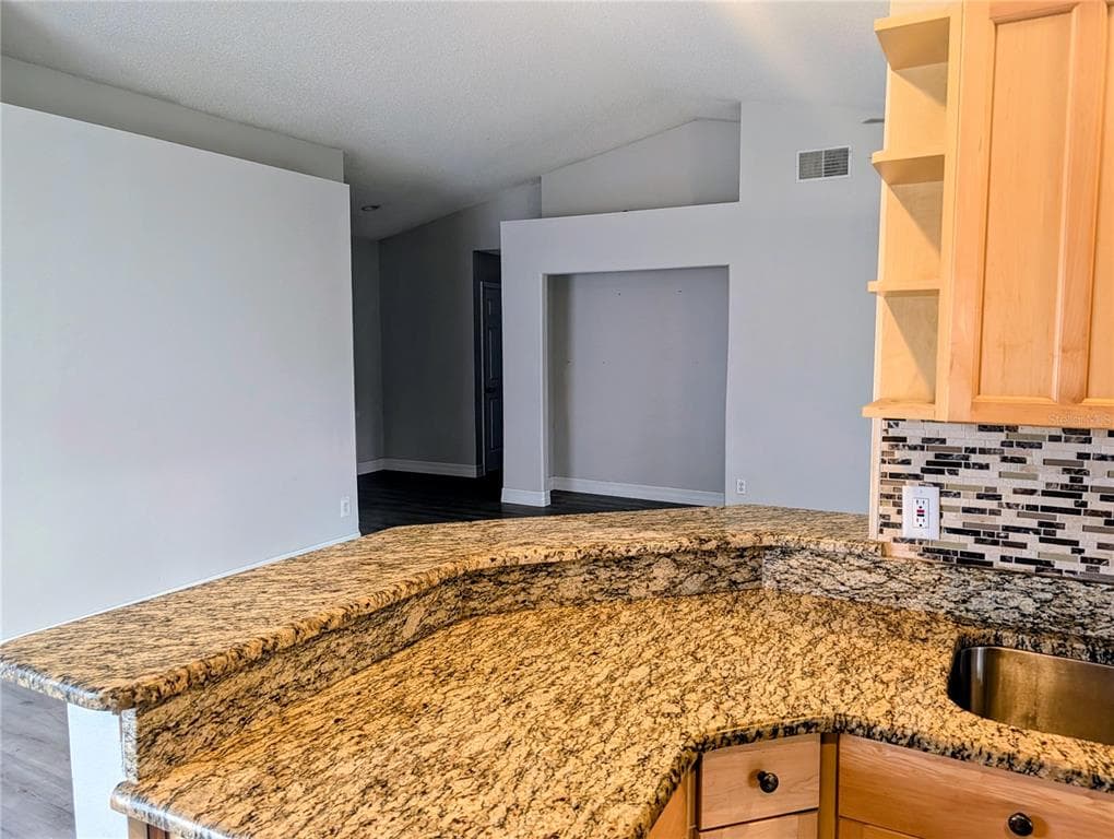 1537 GUNSMITH, LUTZ, FL, 33559 photo 5