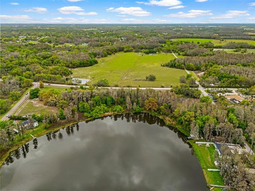 18117 BOY SCOUT, ODESSA, FL, 33556 photo 4