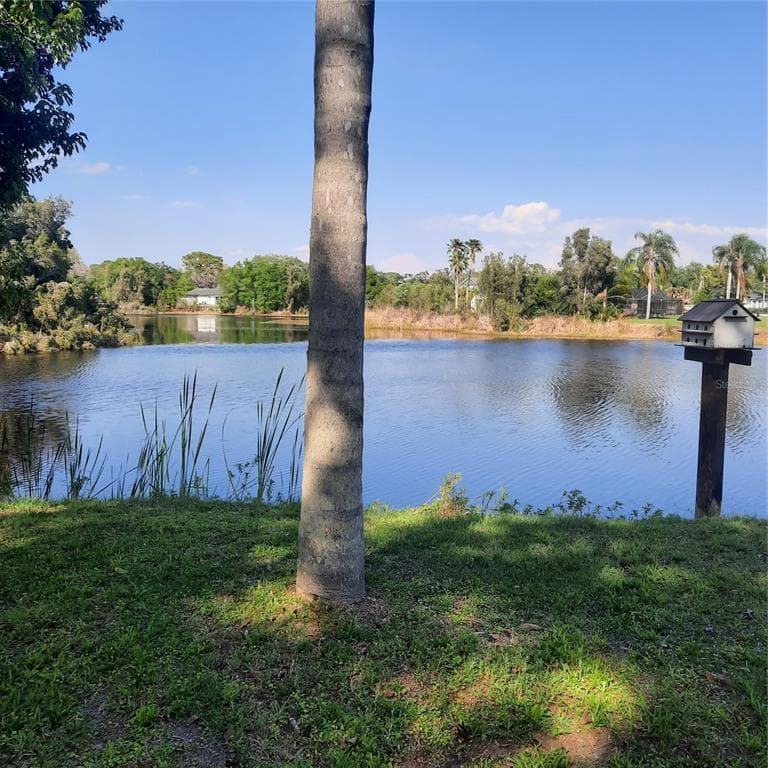 10502 HINDS, ODESSA, FL, 33556 photo 2