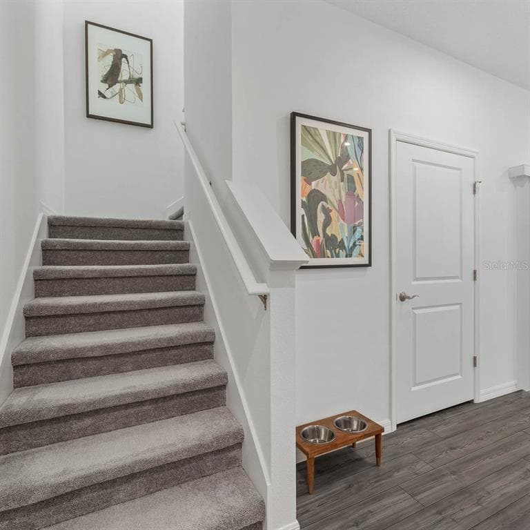 4698 INNER WORLD, WESLEY CHAPEL, FL, 33543 photo 5